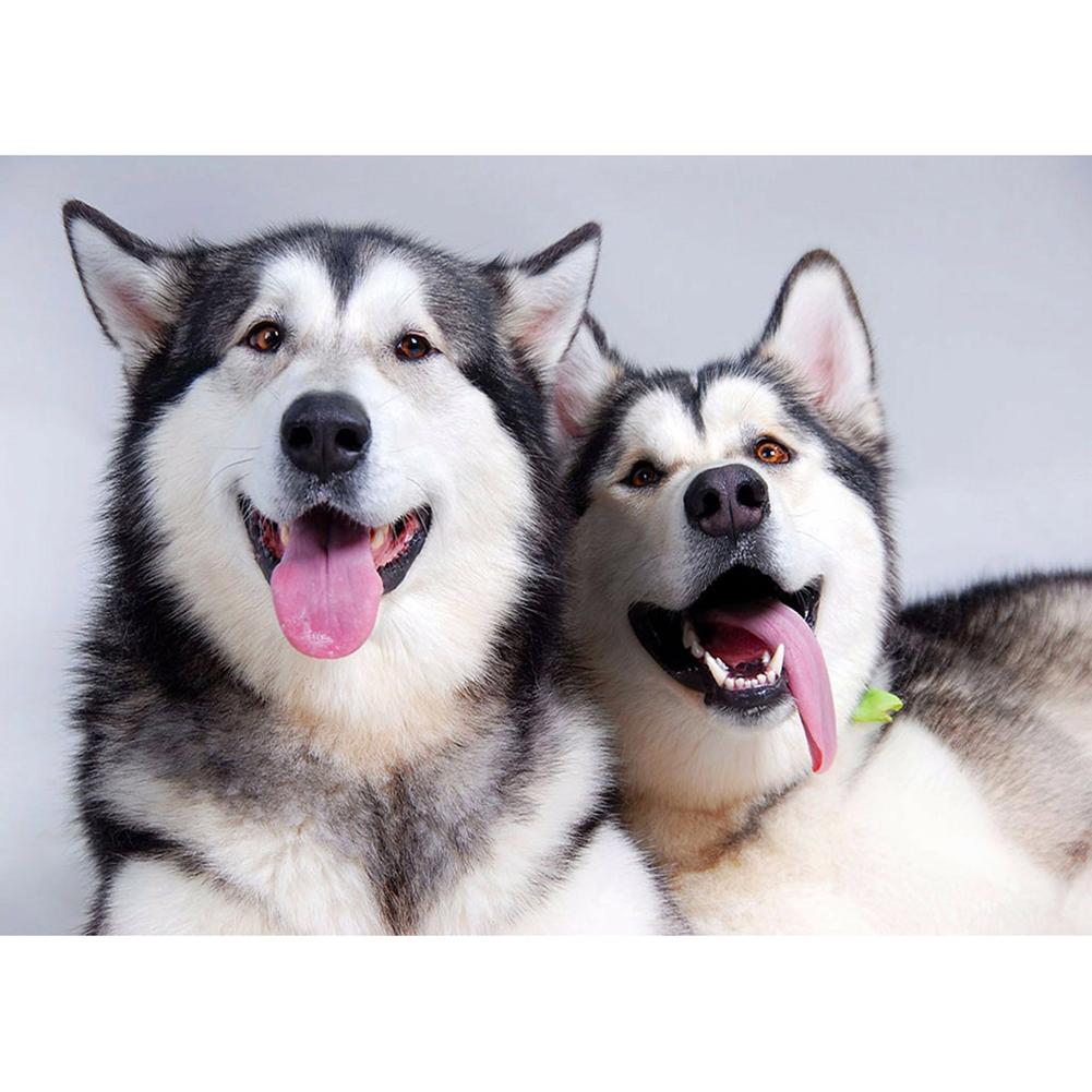 

30x40cm Round Drill Diamond Painting-Two Dogs, 501 Original