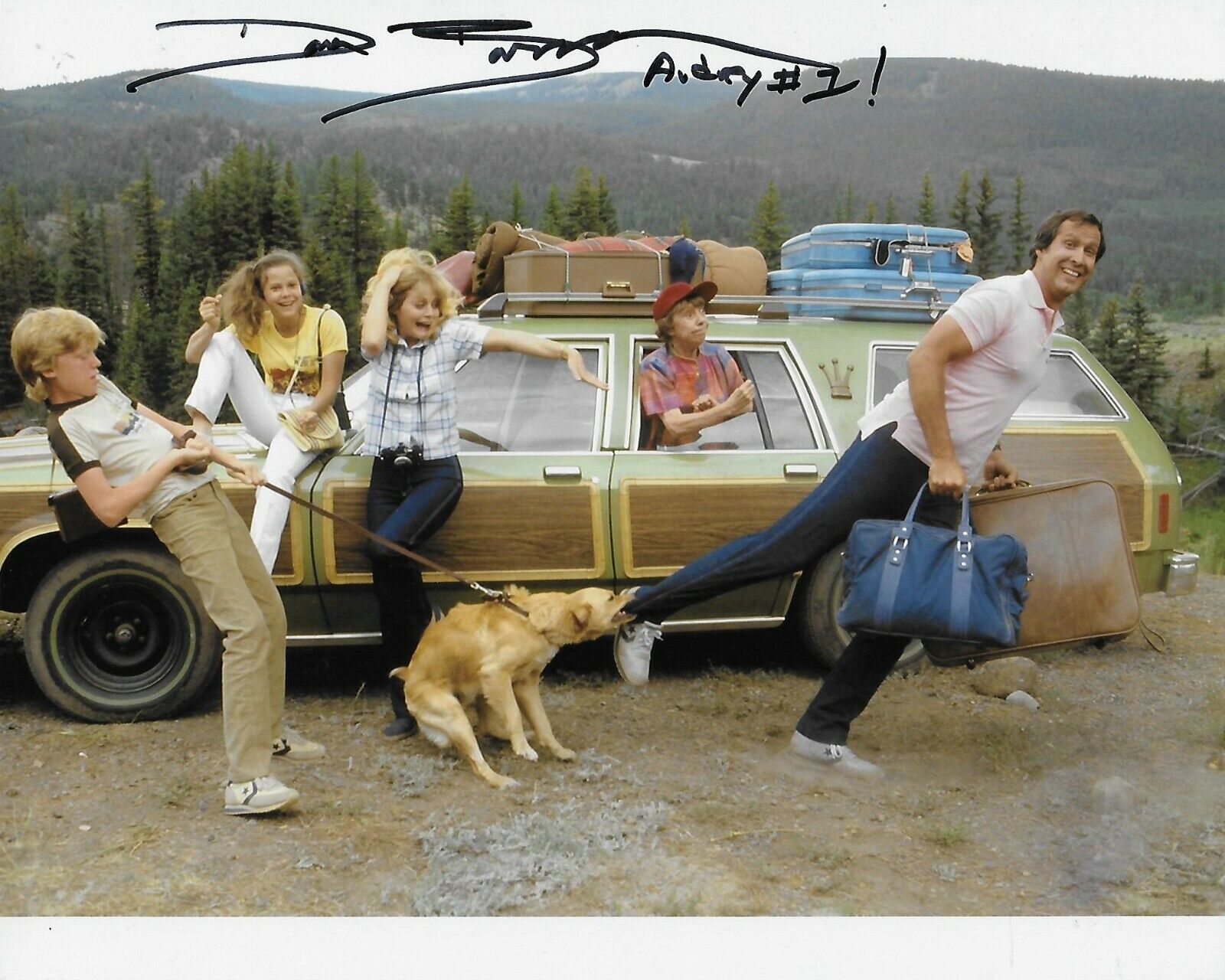Dana Barron Vacation Original Autographed 8X10 Photo Poster painting signed at Hollywood Show #3