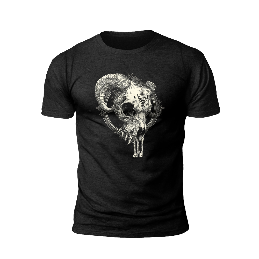 Viking Skull with Horns and Runes T-Shirt