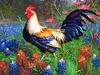 Poulet - peinture ronde compl&egrave;te de diamant