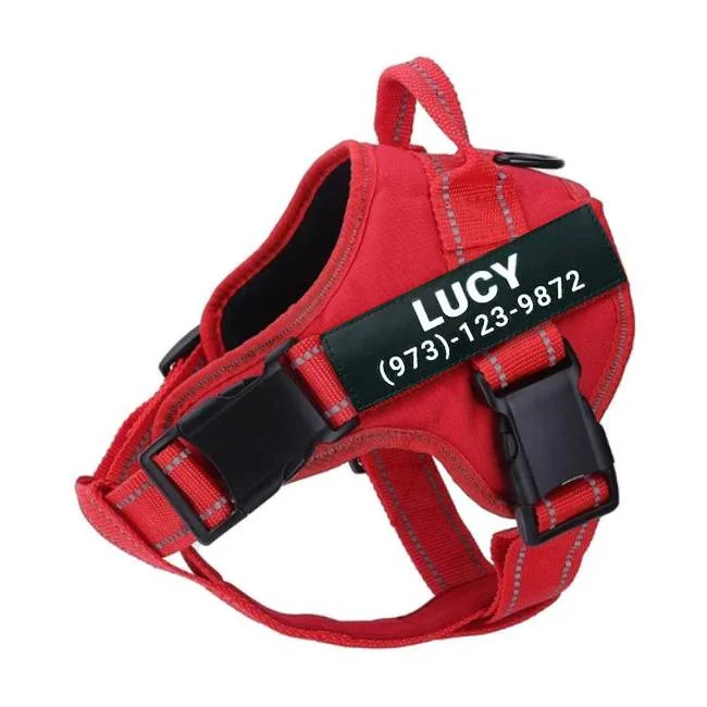 Personalized No Pull Dog Harness 