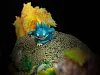 1/20 Scale World Zukan Snorlax Set - Pokemon Statue - Mingliu Gongshe Studio