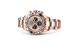 Rolex 116505 Daytona Sundust and black - New "Pink Panda"-NEW