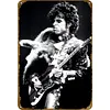 Prince - Panneaux en &eacute;tain m&eacute;tallique(20*30cm/30*40cm) - Musique