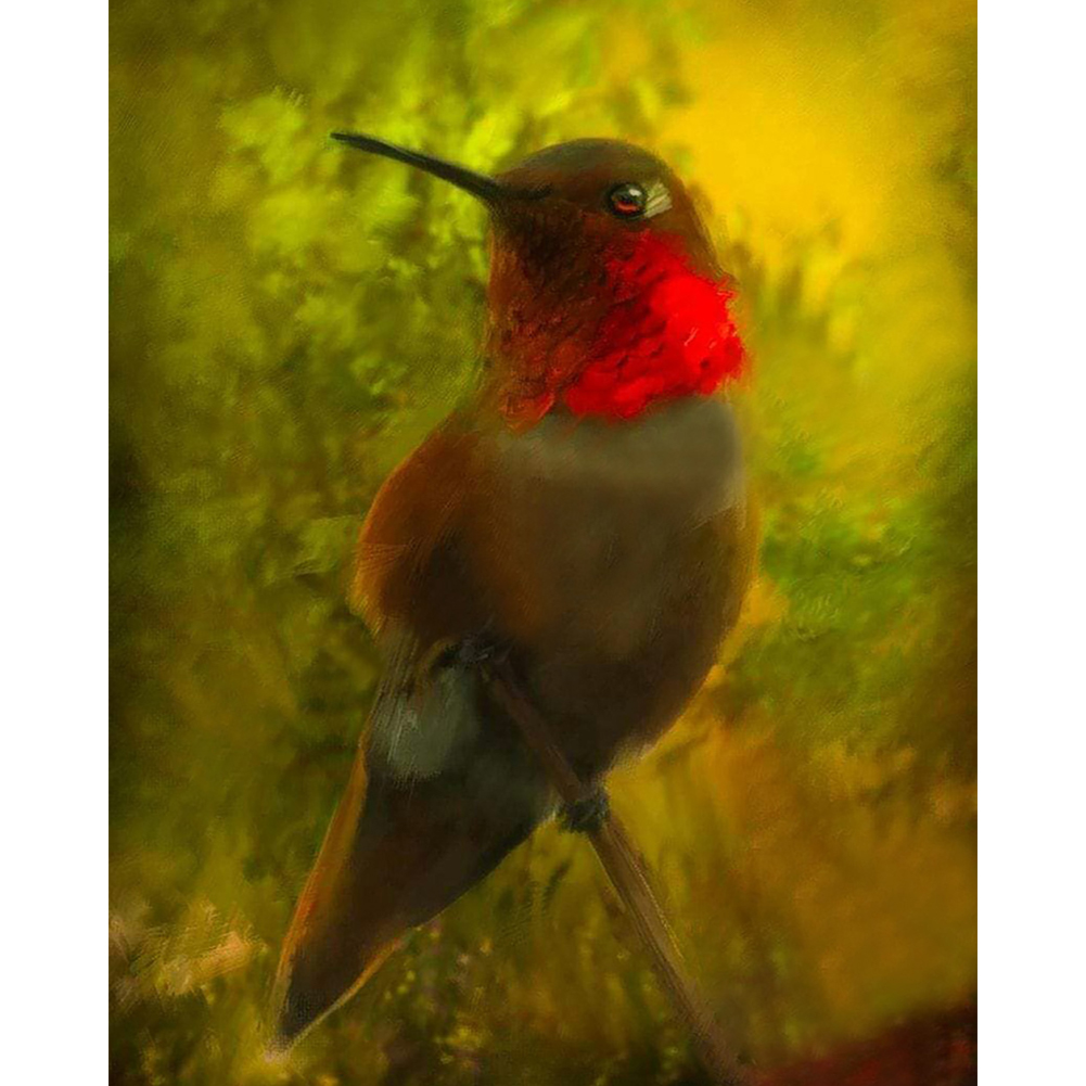 Hummingbirds 40*50cm(canvas) full round drill diamond painting