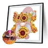 >SALE<5D DIY Partial Special Shaped Drill Diamond Painting Butterfly Gnome Kit 30x30cm