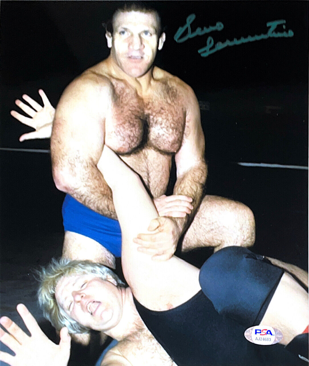 WWE BRUNO SAMMARTINO HAND SIGNED AUTOGRAPHED 8X10 Photo Poster painting WITH PSA DNA COA 4 RARE