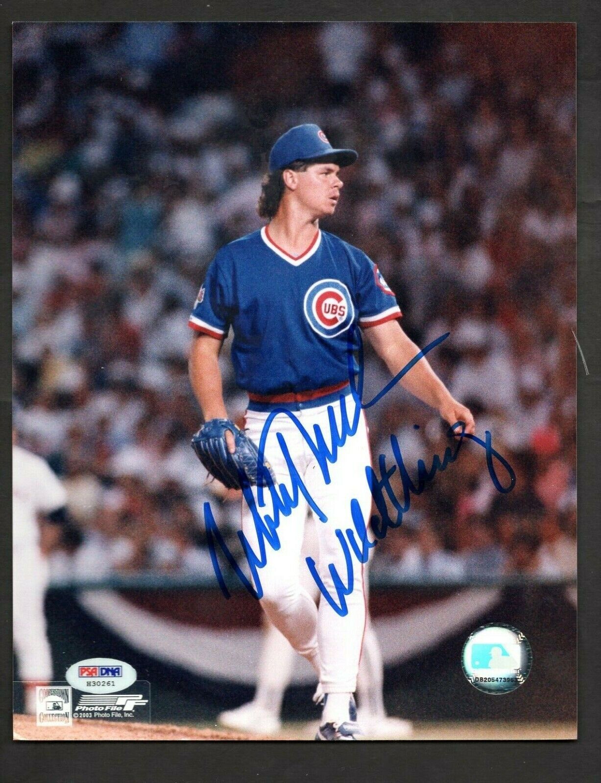 Mitch Williams Signed Wild Thing 8 x 10 Photo Poster painting PSA/DNA Chicago Cubs  SHIP