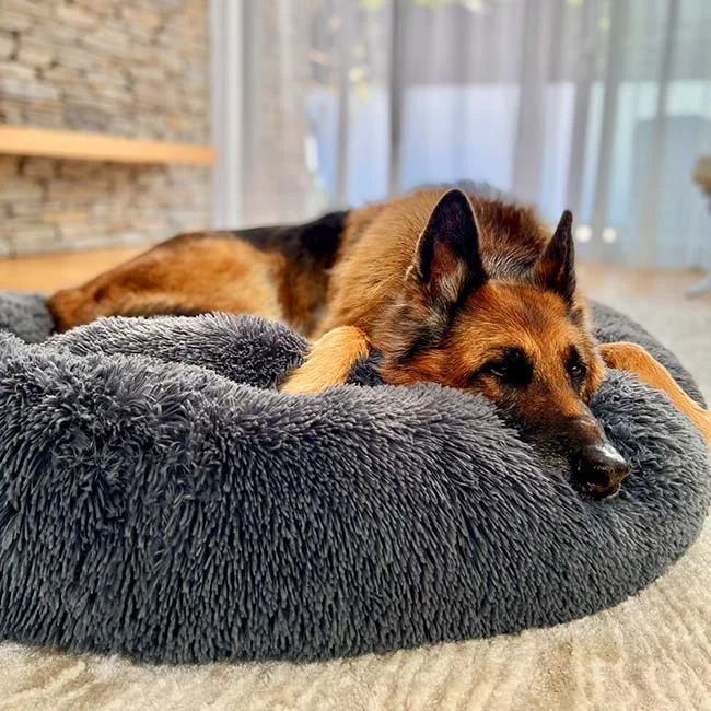 Original Calming Dog Bed - Donut Cuddler Dog Bed - Original Calming Pet Bed  (7 Sizes Available)