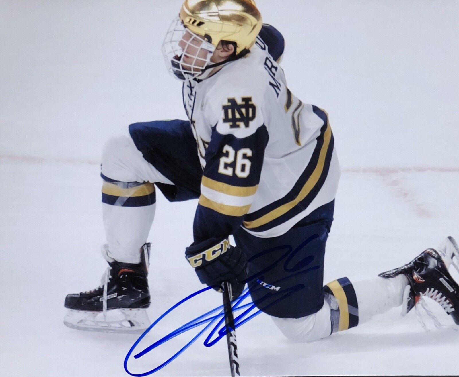 Cam Morrison Signed Autographed Notre Dame Fighting Irish 8x10 Photo Poster painting Coa