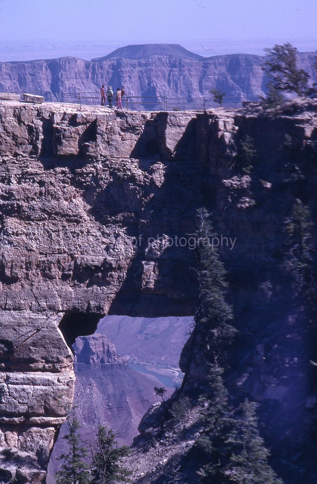 NATURAL BRIDGE Vintage 35mm FOUND SLIDE TransparencyPhoto Poster painting 09 T 5