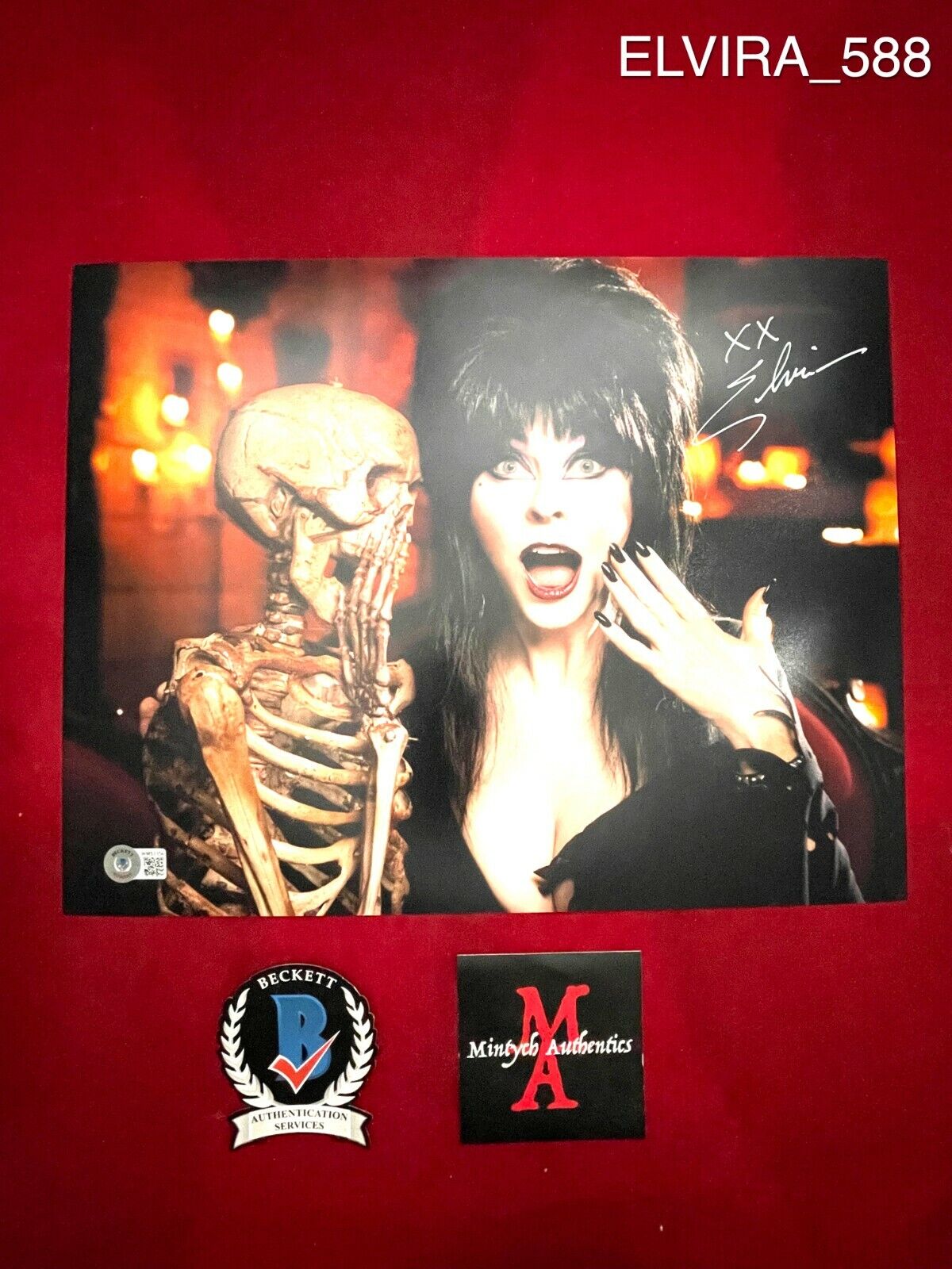 ELVIRA CASSANDRA PETERSON AUTOGRAPHED SIGNED 11x14 Photo Poster painting! BECKETT COA! HORROR!