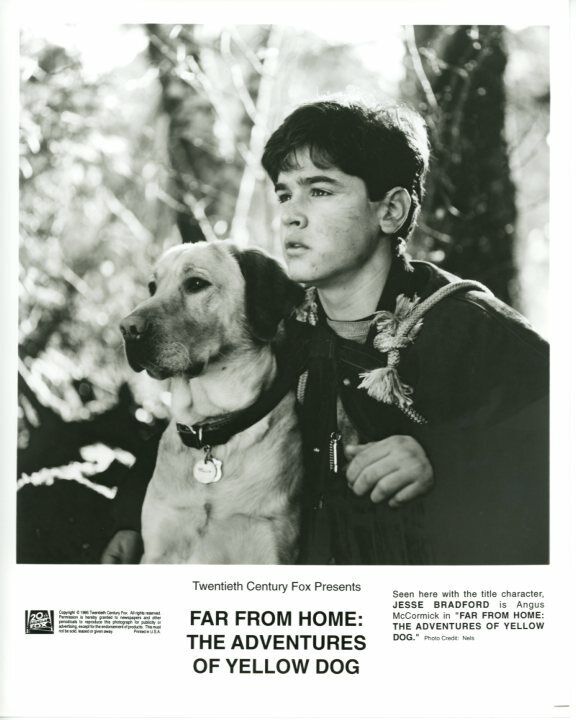 Jesse Bradford Far From Home Adventures of Yellow Dog Original Press 8X10 Photo Poster painting