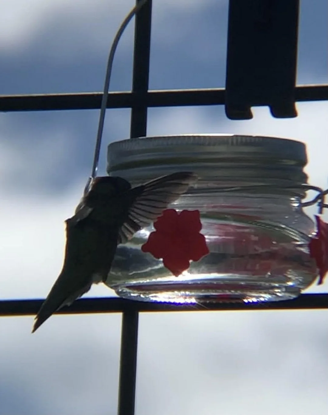 Mason Jar Hummingbird Feeders