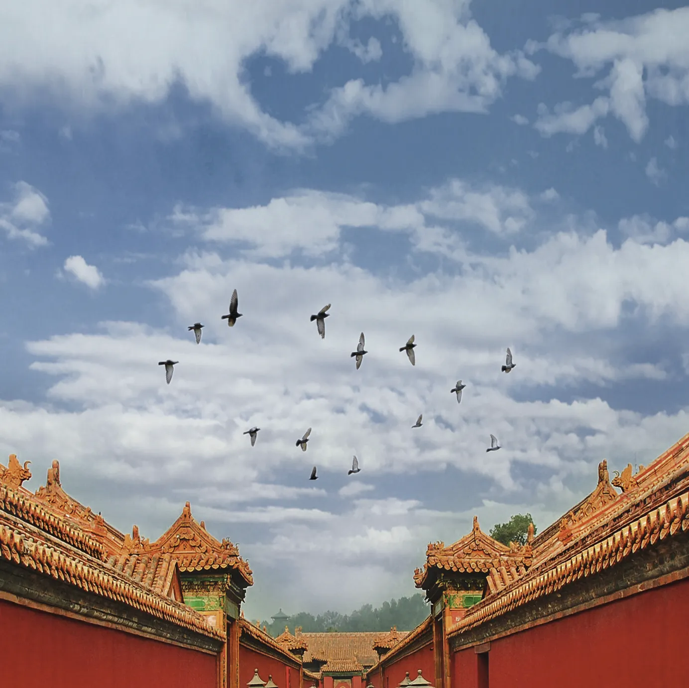 Tiananmen Square, Forbidden City & Summer Palace Private Day Tour