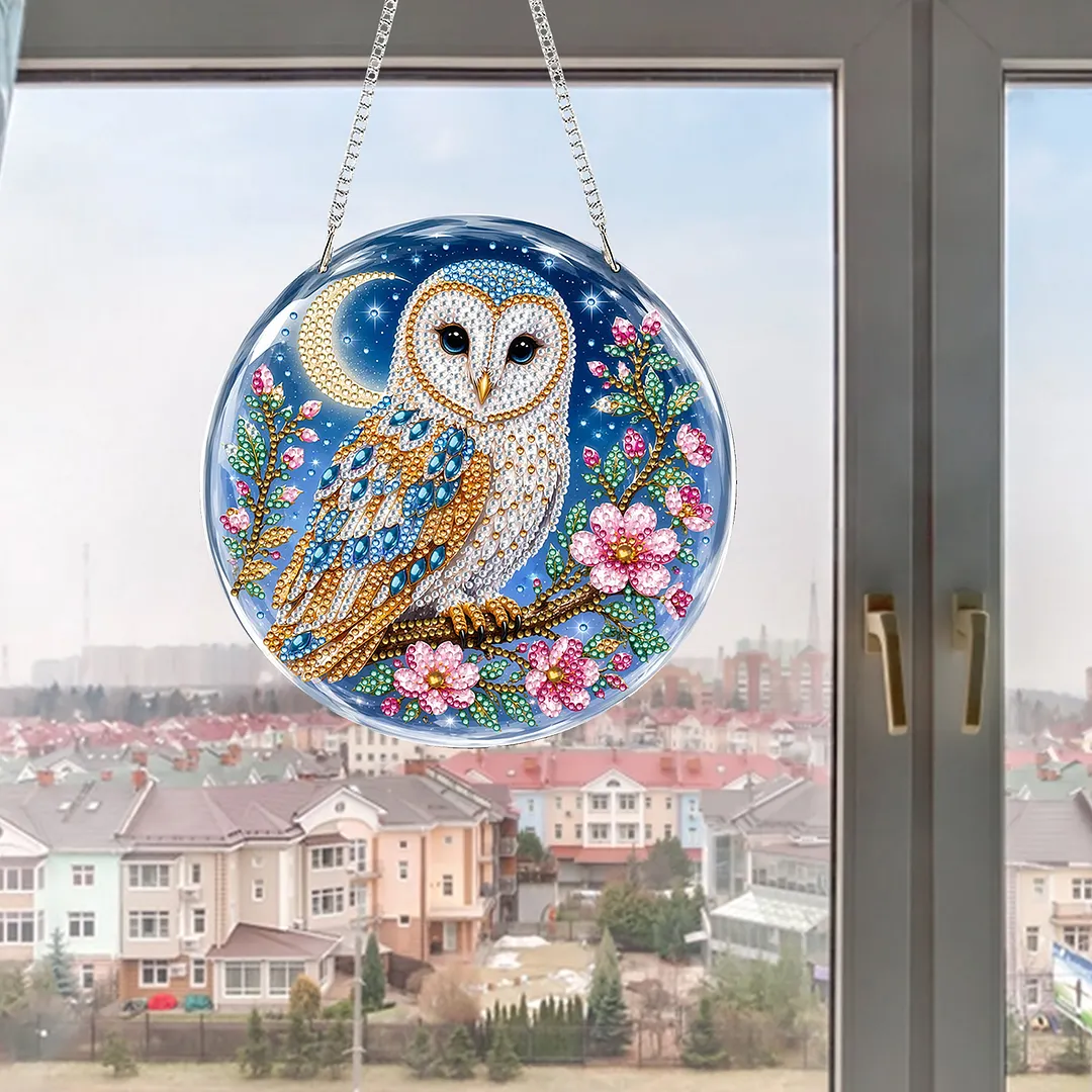Diamond Painting Kit Moon Owl Sun Ornament for Adults 7.87x7.87in