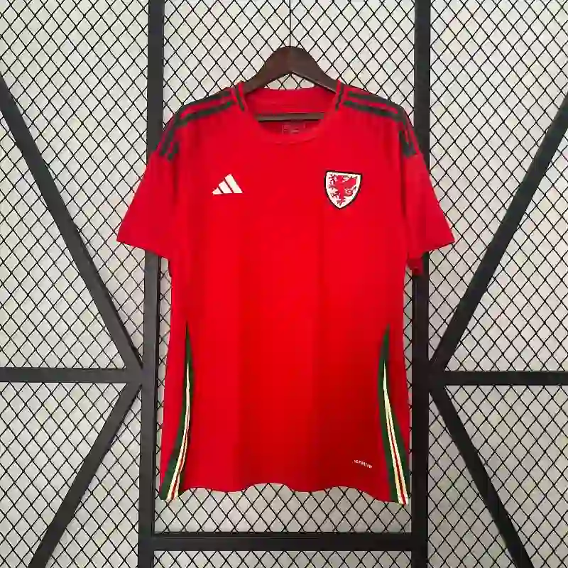 2024 Wales Soccer Jersey Home