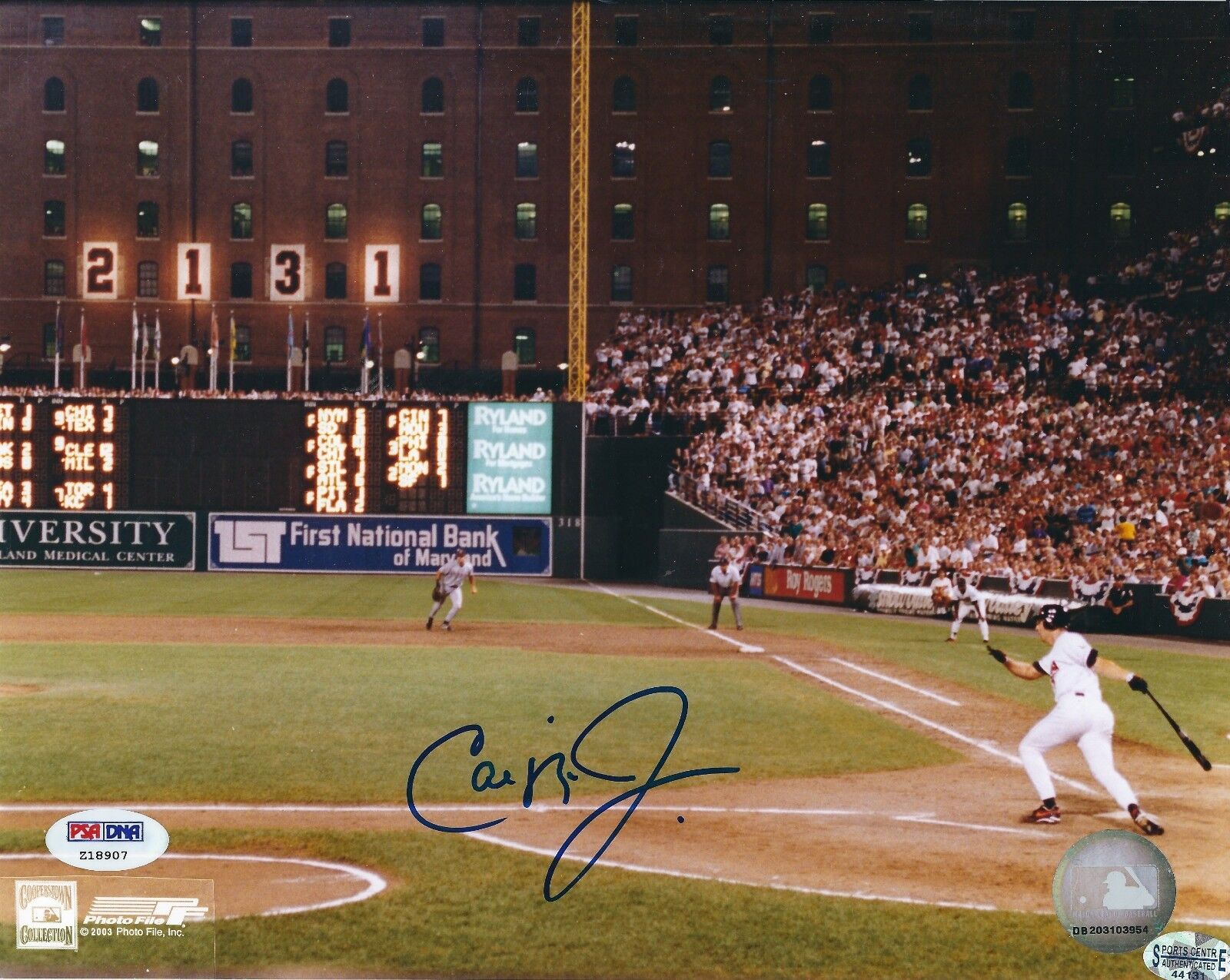 Autographed CAL RIPKEN JR Baltimore Orioles 8x10 Photo Poster painting PSA/DNA