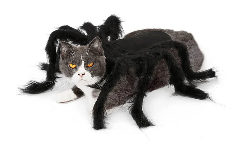 Halloween Pet Big Spider Costume Funny Party Dress up Accessories-elleschic