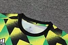 2022/2023 Arsenal Soccer Jersey Training Wear Yellow Black Green love fball