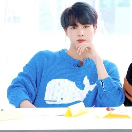 방탄소년단 JIN Blue and White Whale Knitted Sweater