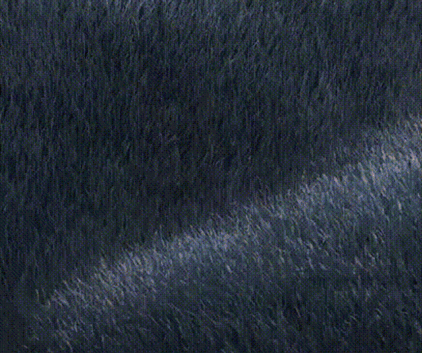 a3d353338fab66905f9722c469cf1487.gif