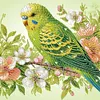 Perroquet-Peinture diamant en forme sp&eacute;ciale-30*30cm