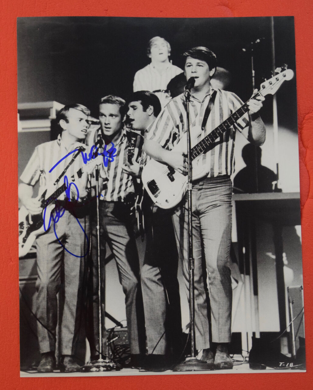 Mike Love & Al Jardine Signed Autographed 11x14 Photo Poster painting The Beach Boys B