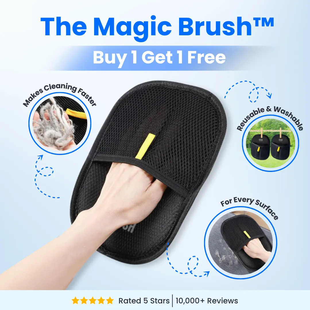 The Magic Brush - Buy 1 Get 1 Free