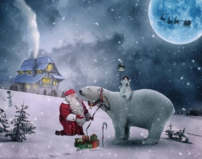 

Polar Bears And Santa Claus – Paint By Numbers - 40*50CM, 501 Original