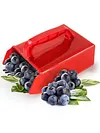 [US Local Warehouse] Berry Picker with Metal Comb with Ergonomic Handle Labor Saving for Blueberries