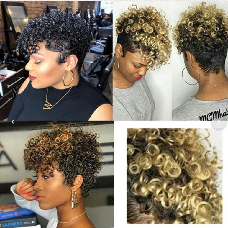Fashion and Popular Bleaching and Dyeing Wig High Temperature Silk Fluffy Short Curly Hair | EGEMISS
