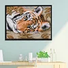 Tiger-14CT Stamped Cross Stitch Kit(29*21cm)
