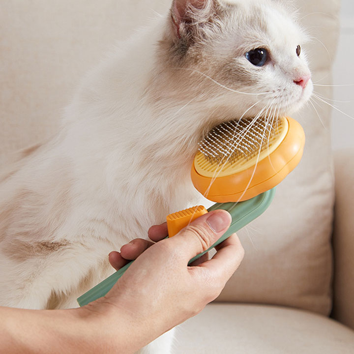 Cat Grooming Tools