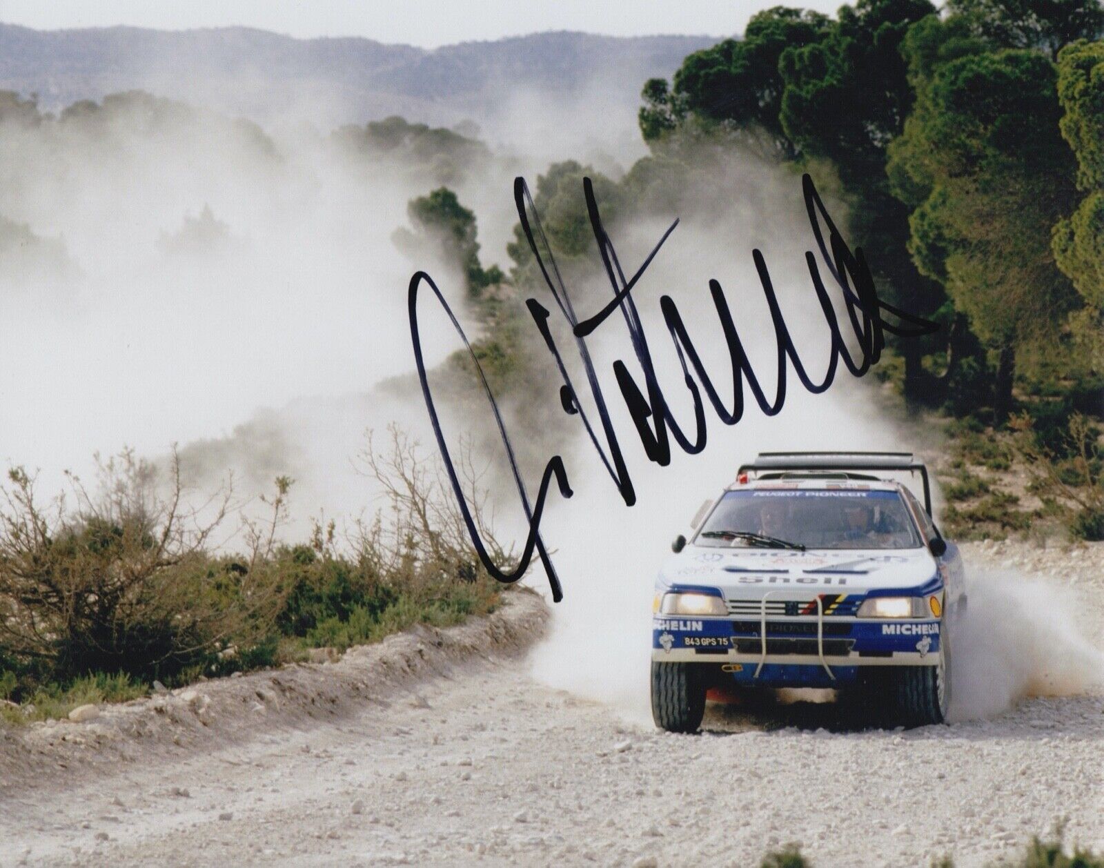 Ari Vatanen Hand Signed 10x8 Photo Poster painting Rally Autograph Peugeot 7