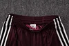 Joyfball 2025/2026 Short sleeved Ajax pre-match training Jersey+Shorts  1:1 Thai Quality