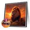 (50*50cm)Lion - Full Round Drill Diamond Painting