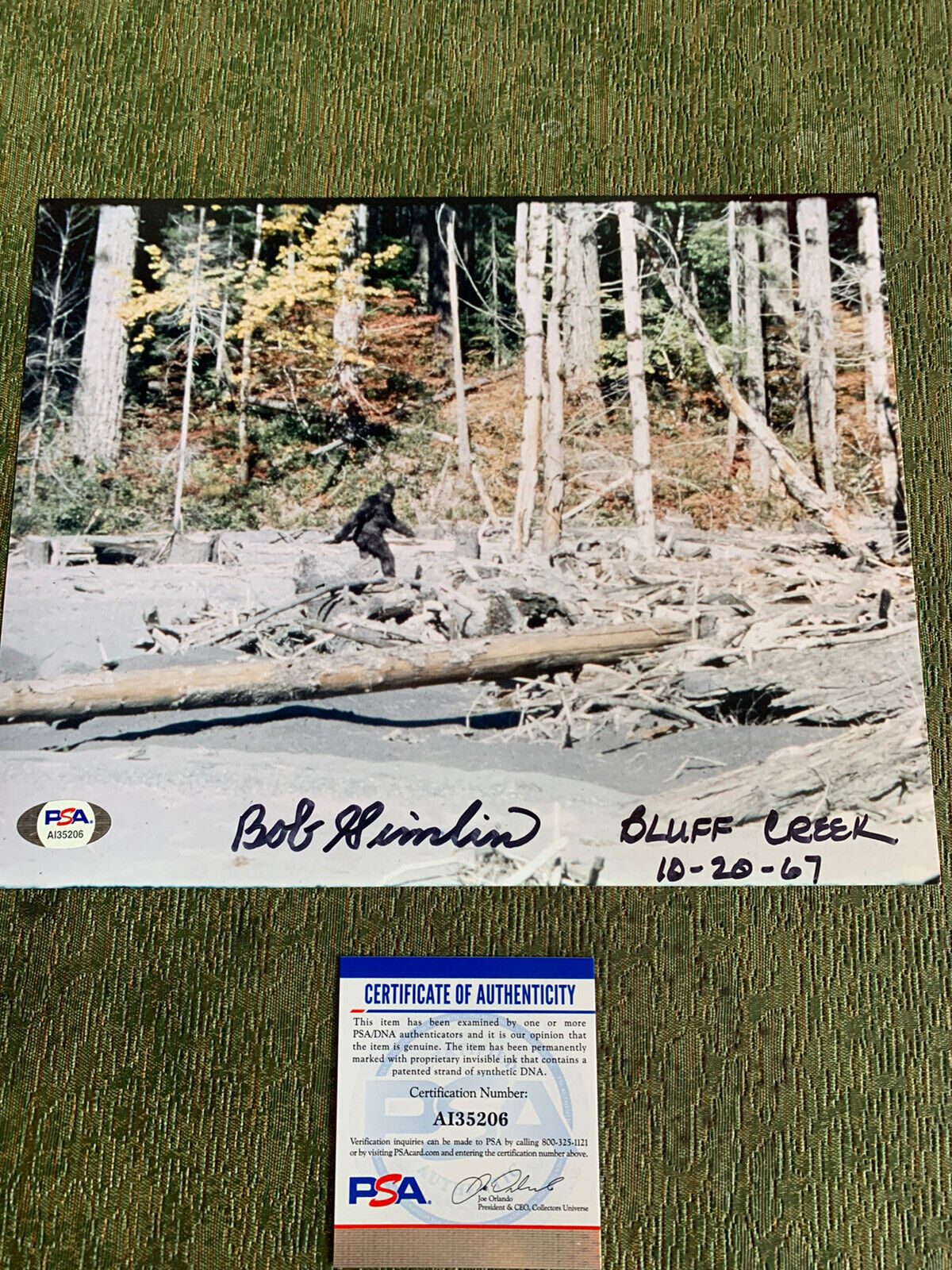 bob gimlin signed 8x10 Photo Poster painting Pic Bigfoot Camera Man Psa Coa