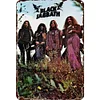(Multi Style)Van Halen - Metal Tin Signs(8*12Inch/12*16Inch)