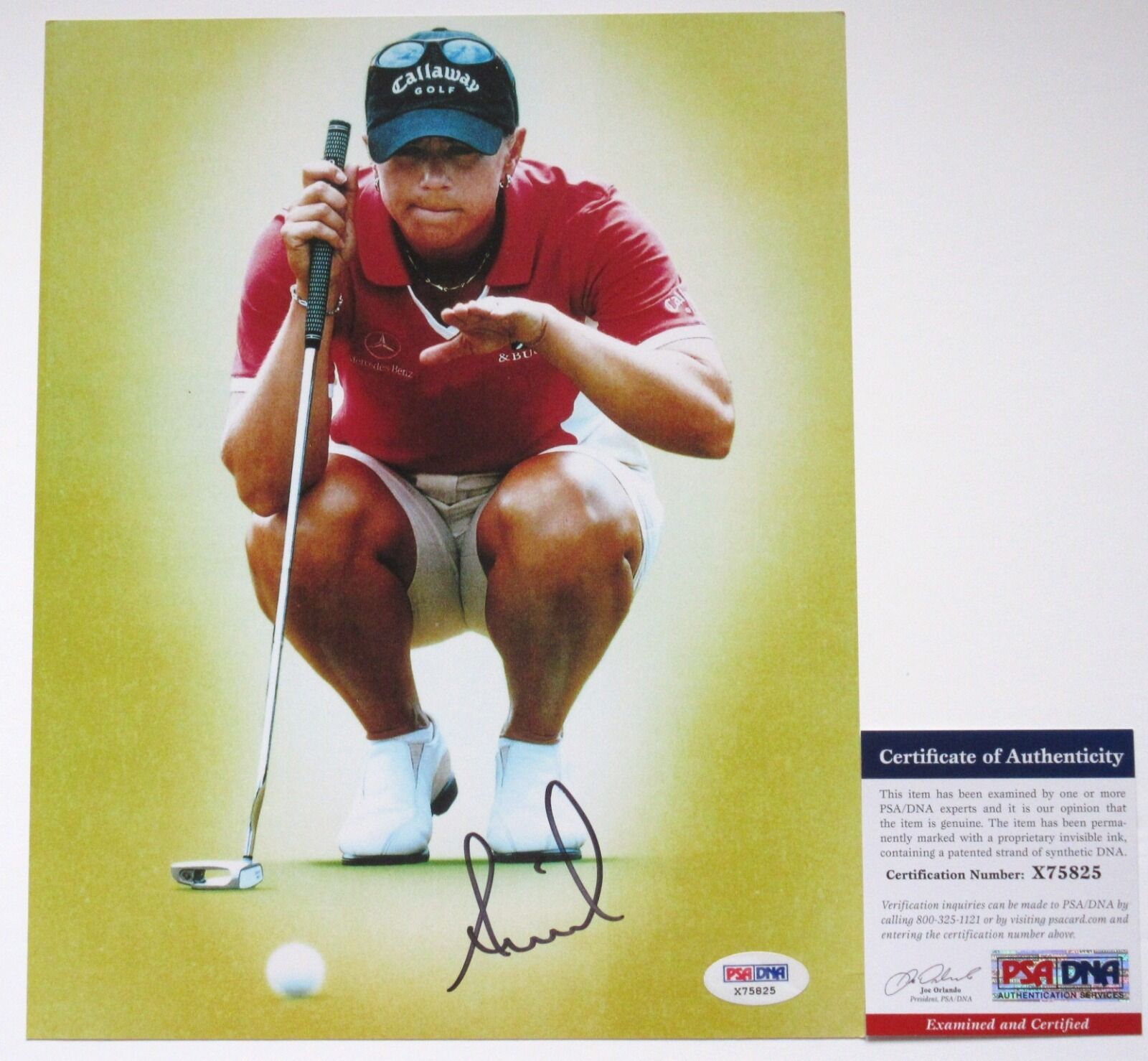 THE GREATEST!!! Annika Sorenstam Signed LPGA GOLF 8x10 Photo Poster painting #1 PSA/DNA