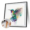 Colorful Bird-Paint By Numbers Acrylic Painting 40*40CM