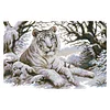 (Counted/Stamped) 14CT Tiger - Cross Stitch 51*36cm/20.08*14.17in(Brand)
