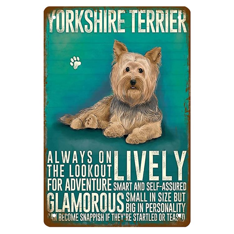 Yorkshire Terrier Lively Glamorous - Vintage Tin Signs/Wooden Signs - 7.9x11.8in & 11.8x15.7in