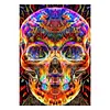 Diamond Painting -DIY Round Drill Skull