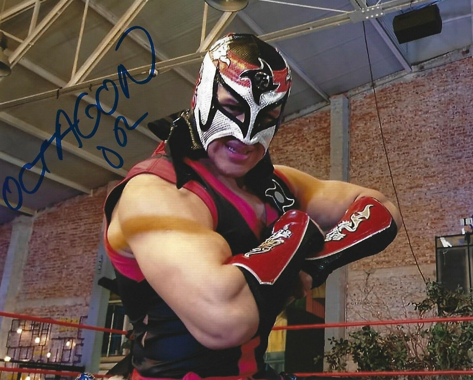 Octagon Jr. Signed 8x10 Photo Poster painting AAA Lucha Libre Pro Wrestling Picture Autograph 5