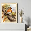 (US Only)Robin Printed Cross Stitch Kit 40x50cm DIY 11CT Embroidery Craft Set Home Decor