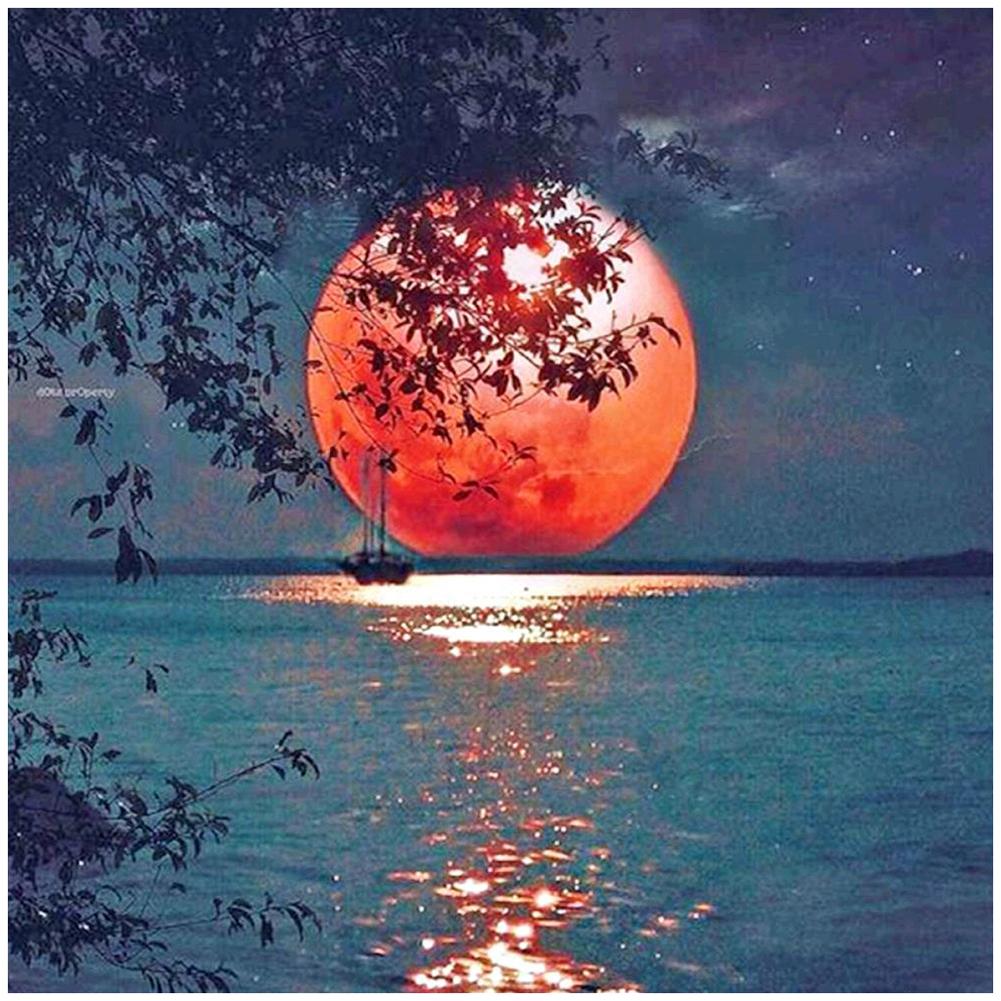 

30*30CM - Moon - Round Drill Diamond Painting, 501 Original