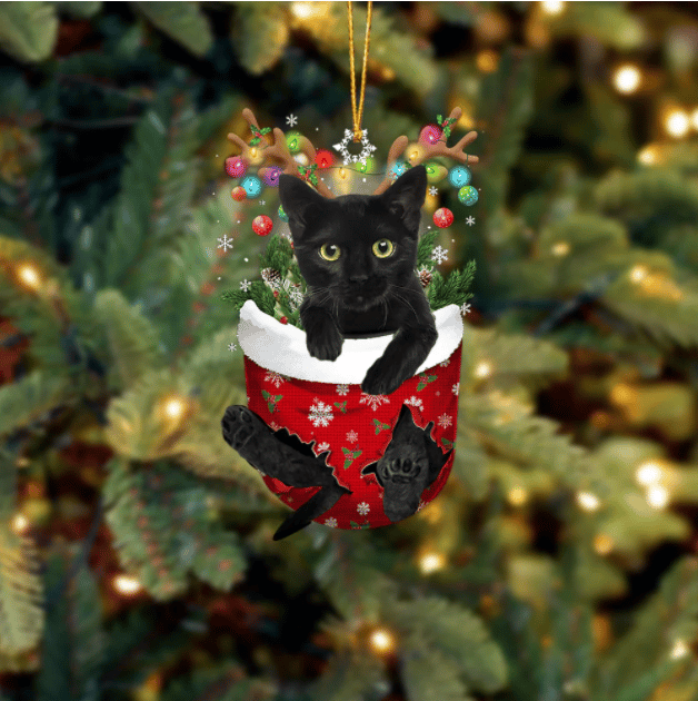 Black Cat In Snow Pocket Ornament