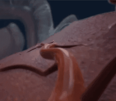 Maca Gummies (60 Gummies) Increases Stamina, Strength, and Endurance image Maca Gummies (60 Gummies) Increases Stamina, Strength, and Endurance