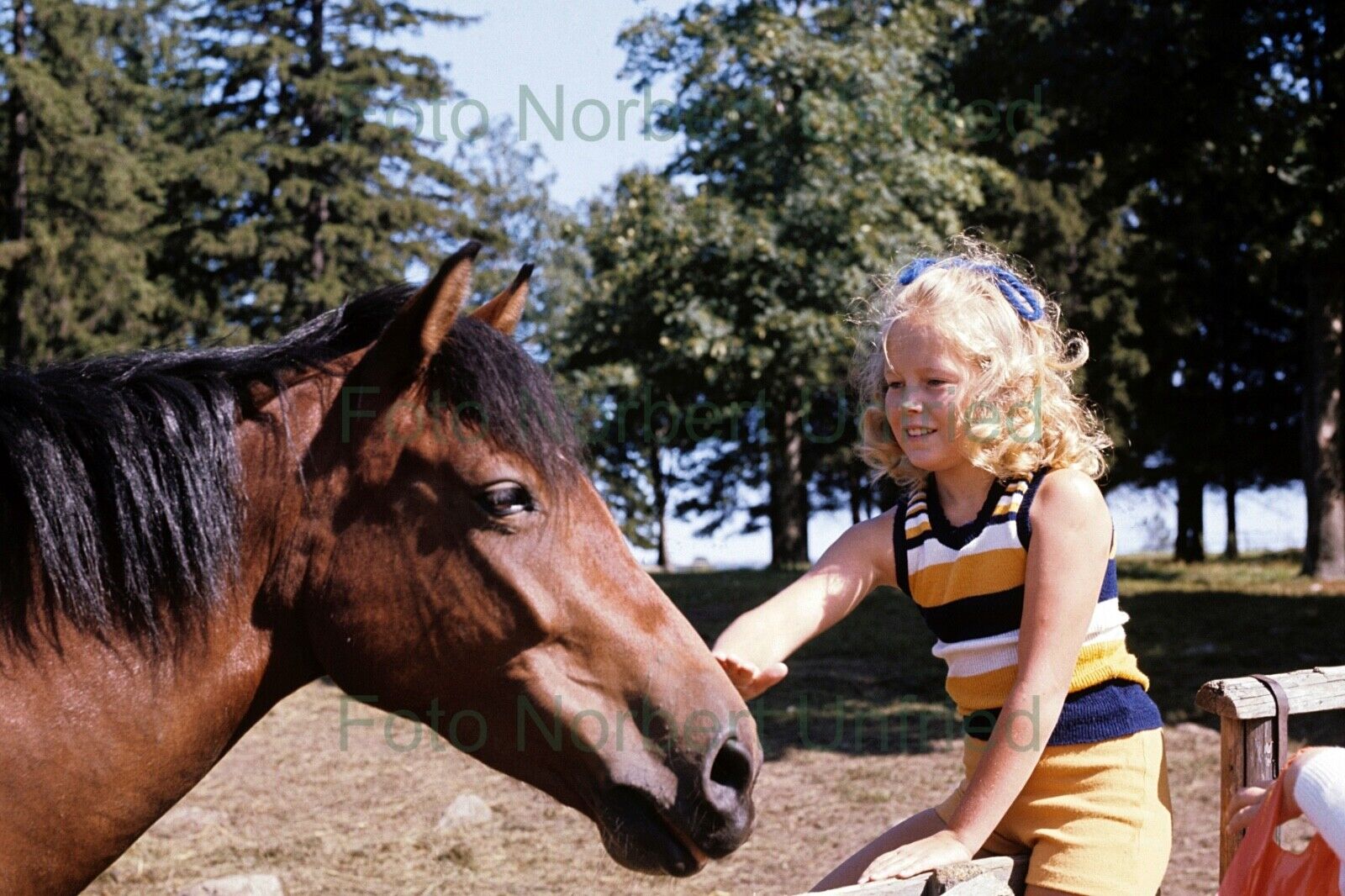 Anita Hegerland with Horse - Photo Poster painting 20 X 30 CM Without Autograph (Nr 2-21
